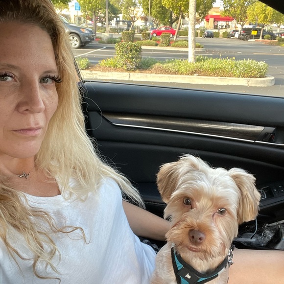 Meet your Posher, Honey - Picture 2 of 4